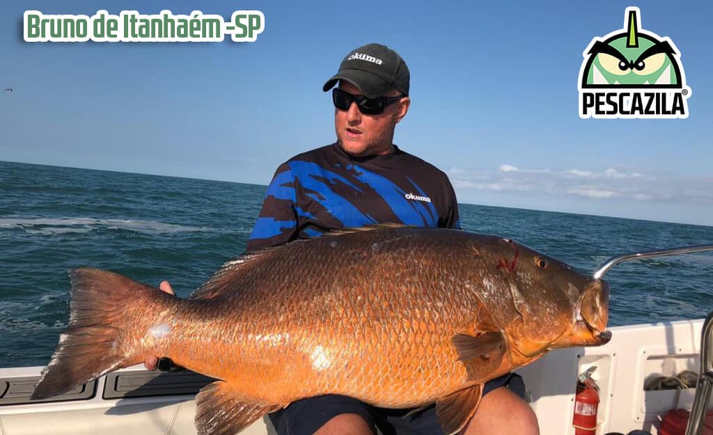 Cañas de pescar caras Clearance